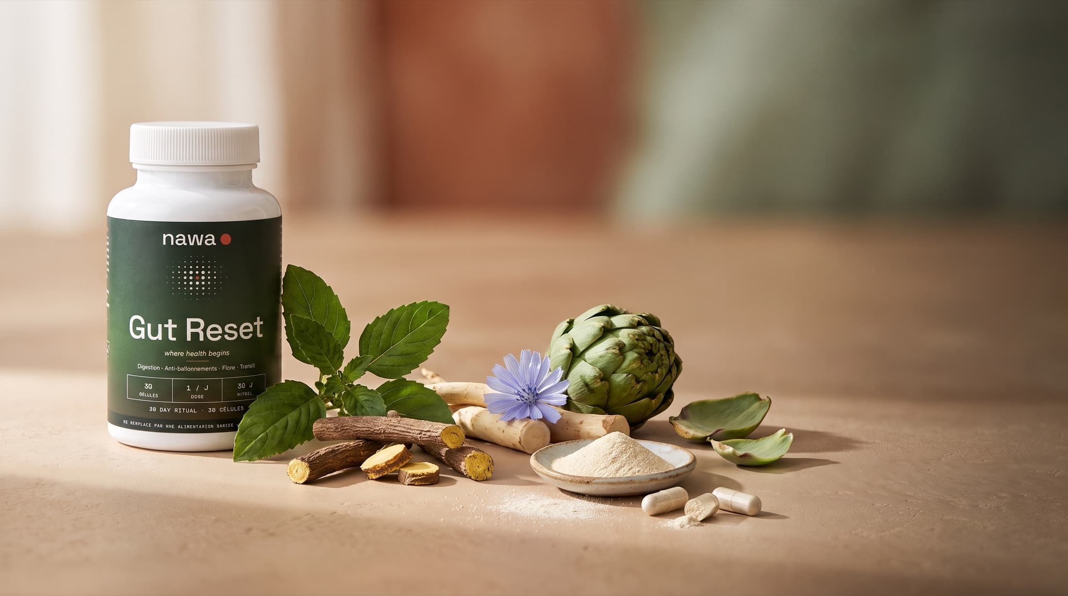 Gut Reset de NAWA sur un plan en tadelakt beige, entouré de ses ingrédients réels : basilic sacré, racine de réglisse, chicorée, artichaut, ferment lactique en poudre et gélules ouvertes